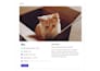 build a fast , seo friendly , modern and responsive website for your business